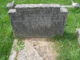 image of grave number 236734